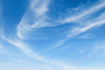 Wall Mural - the sky is blue and clear with no clouds