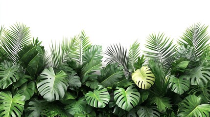 Tropical green leaves background.