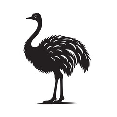 ostrich , simple line art, white background.eps