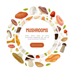 Wall Mural - Mushroom Banner Design with Forest Plant with Stem and Cap Vector Template