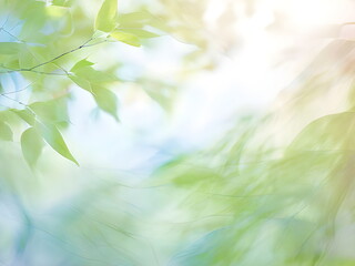 Wall Mural - green leaves in the sun