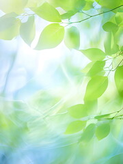 Wall Mural - green leaves in the sun