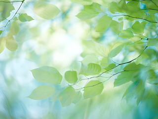 Wall Mural - green leaves in the sun