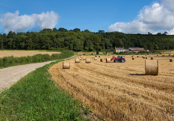 Harvest Time in North Yorkshire - England