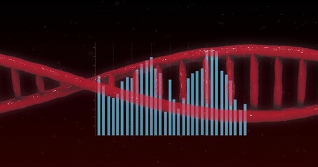 Wall Mural - Animating DNA strand and bar graph over dark background