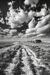 Poster - Dirt Road Landscape