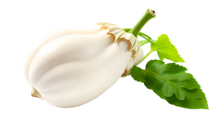 White and green bitter gourd, Asian food ingredient and herbal medicine isolated with white highlights, png