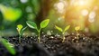 © improvee design - Close-up view of small plants growing out of the soil with a network of connections between them. The image conveys a sense of growth, connection and the power of nature.