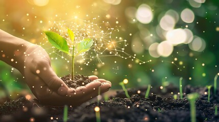 Wall Mural - hand holding a sapling with a glowing network connection for the concept of symbolizing growth new b