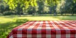 © Alexander Chaykin - Summery Picnic Scene with Red and White Checkered Tablecloth