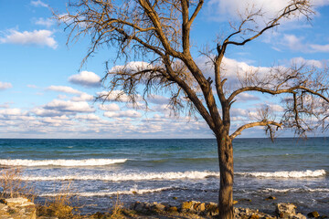 Poster - sea coast