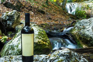 Bottle of wine in nature