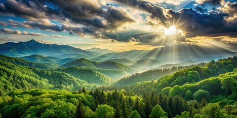 Poster - Sunlight filtering through the dense green forest with mountains in the background and fluffy clouds in the sky, sunlight