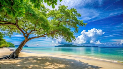 Poster - Soothing beach and tree views perfect for a relaxing vacation, beach, trees, ocean, vacation, relaxation, peaceful, serene