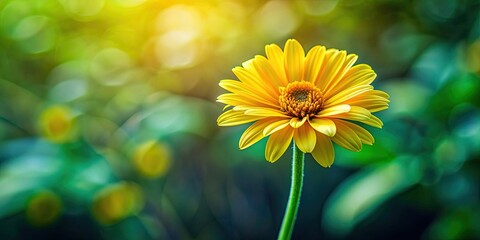 Canvas Print - Yellow flower with a green stem, nature, plant, blossom, botanical, vibrant, colorful, garden, fresh, flora, petal, blooming