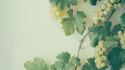 Canvas Print - Fresh green grape clusters and leafy vines creating an organic and wholesome scene, highlighting nature's bounty and freshness.