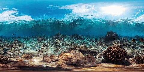 Sticker - 360 VR footage of the coral reef in the Maldives with some fish swimming around