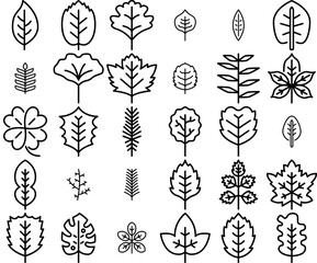 Set Of Leaves Outline Isolated Silhouette Solid Icons With Leaf,Elder,Autumn,Nature,Eco Vector Illustration Linear Pictogram Pack