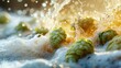 © Sunshine - Fresh Green Hops in Water Splash - Close-Up of Hops Cones in Dynamic Water Movement, Perfect for Brewing and Beer Industry Concepts