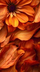 Wall Mural - Abstract Orange Flower Petals.