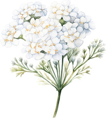 Wall Mural - Delicate white flowers with green stems and leaves, perfect for a spring or summer floral arrangement.