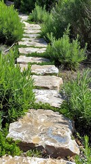 Sticker - Stone Path Through Lush Green Foliage.