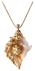 Canvas Print - PNG Elegant seashell pendant necklace