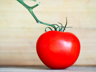 A red tomato with a green stem