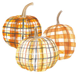 Sticker - PNG Plaid pumpkins autumn decor illustration