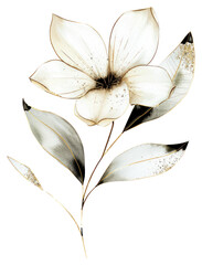 Poster - PNG Elegant floral minimalist botanical illustration