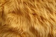 © gilangedo - Lion Skin Fur Texture | Fluffy Lion Fur Background, generative ai