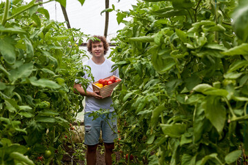 Man in white t-shirt holding wooden box with tomatoes in greenhouse