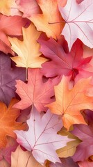 Poster - A close up of many different colored leaves, including red, orange, and yellow