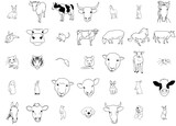 Fototapeta Pokój dzieciecy - A Collection Of Animal Vector Symbols Apps, Websites Ui Designs Suitable For Wildlife,Animal,Pet,Farm,Cat Infographic Simple Vector Illustration Logo