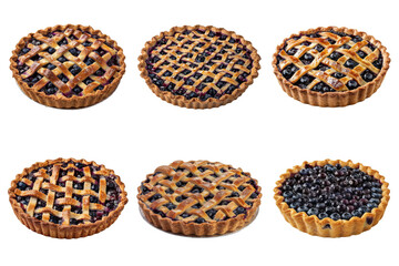 Wall Mural - Six Blueberry Pies with Lattice Crust and Shiny Glaze