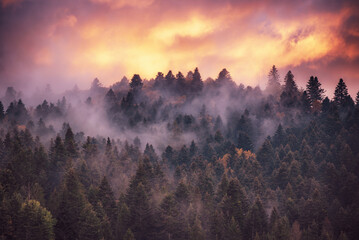 Wall Mural - misty mountain landscape