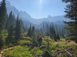 smoky forest in the mountains