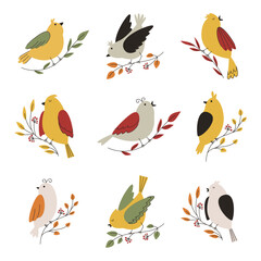 Birds sitting on the branches of autumn trees large set. Autumn birds with beautiful wings. Hand drawn vector illustration for postcard design, clothes, notebook cover.