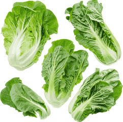 Wall Mural - cabbage isolated on white background