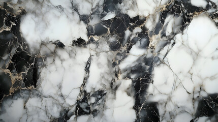 Poster - White and black marble texture background