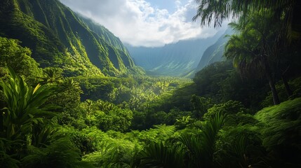 Poster - Lush Green Valley with Dramatic Mountain Ranges in Hawaii - A breathtaking view of a lush green valley surrounded by towering mountain ranges, showcasing the beauty and serenity of nature in Hawaii. T