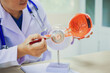 © Chiraphong - An ophthalmologist explains eye diseases using an eye model at an examination table in a hospital examination room. Glaucoma, cataracts, diabetic retinopathy.