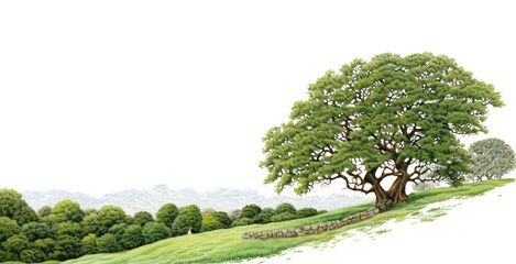 Sticker - PNG  Landscape tree outdoors nature.