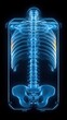 © Vee - Detailed X-ray image of a human spine and ribcage, showcasing bone structure in a striking blue hue.