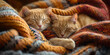 © NeuroCake - Ginger cats sleeping on pile of knitted sweaters. Cozy autumn lifestyle. Image for pet care blogs, seasonal social media posts.