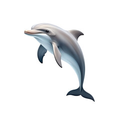 Dolphin isolated on transparent background