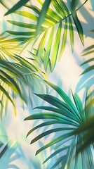 Wall Mural - Close-up of Green Palm Leaves with Sunlit Background