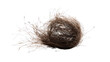 © Krtola  - tumbleweed transparent background