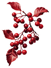 Wall Mural - PNG Holly cherry plant chandelier.