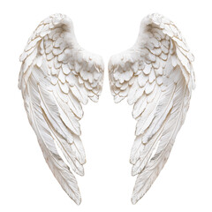 Sticker - Angel wings isolated.